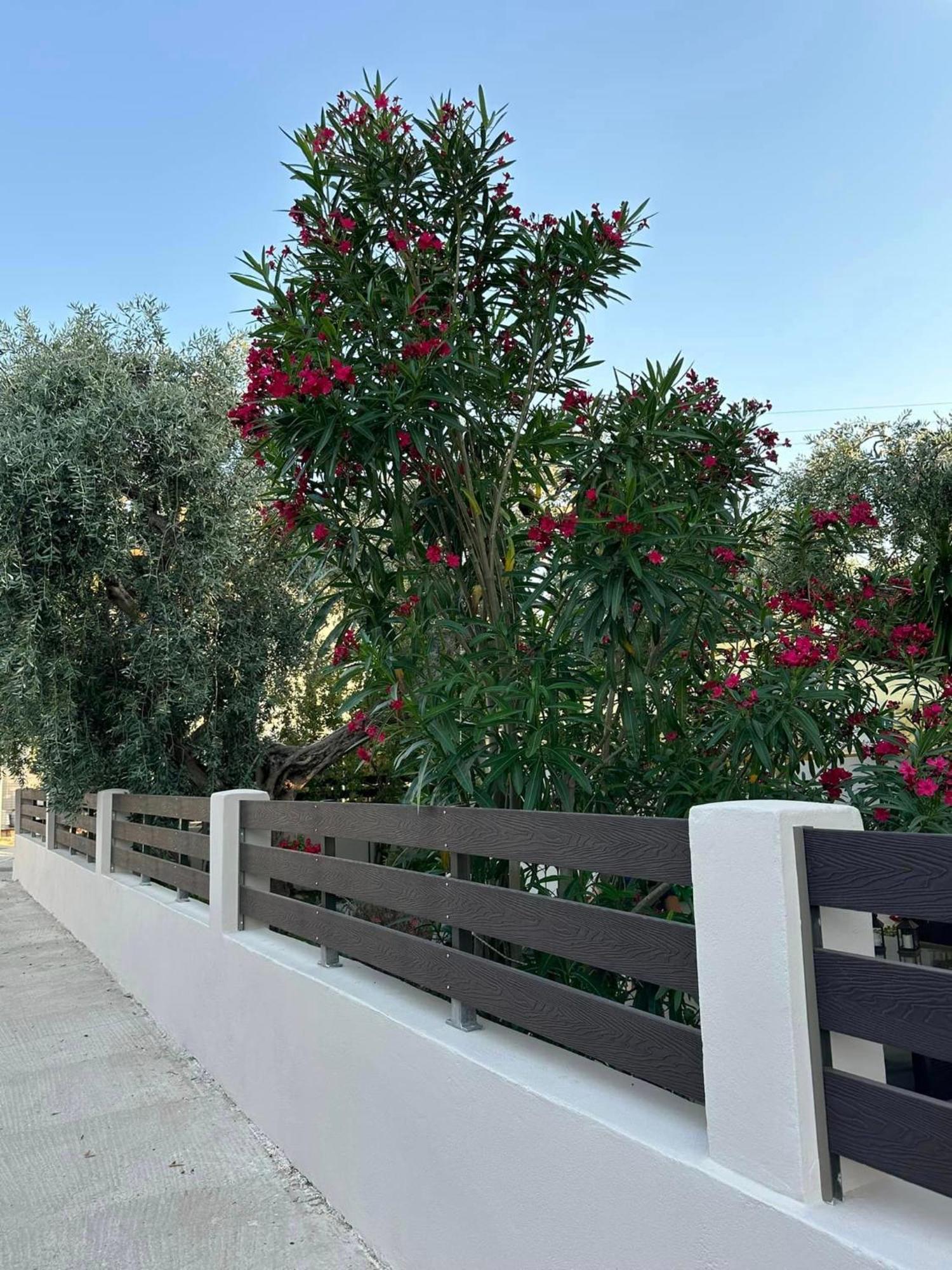Appartement Valia House Thassos à Skála Kallirákhis Extérieur photo